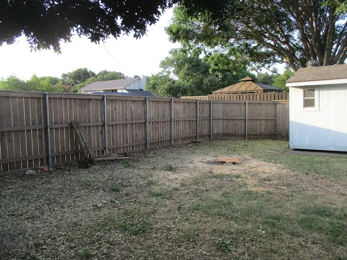 Cleared yard after professional tree removal in La Mesa